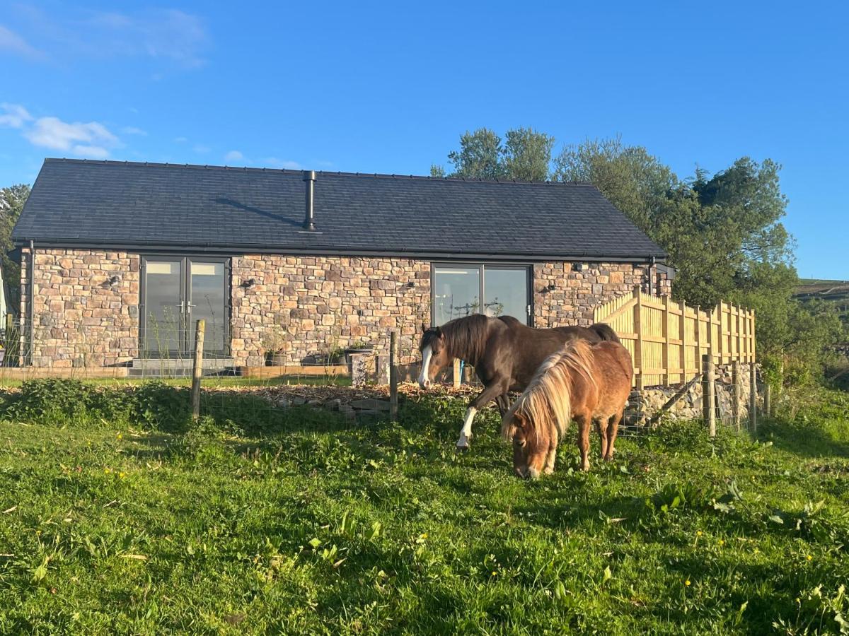 Hedd Wen Villa Llanllyfni Exterior photo